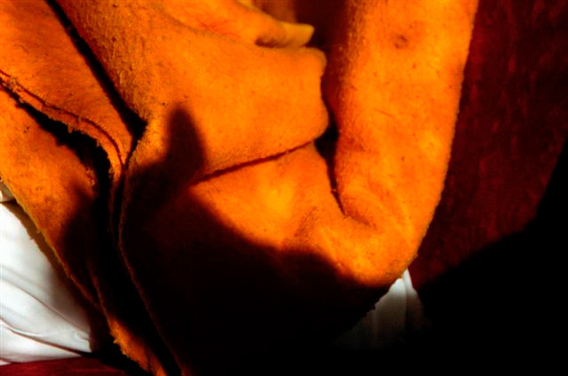 _DSC3172%20(1)