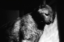 _DSC3167%20(1)