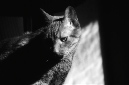_DSC3168%20(1)