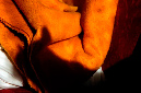 _DSC3172%20(1)