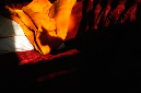 _DSC3183%20(1)