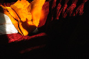 _DSC3186%20(1)