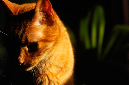 _DSC3196%20(1)