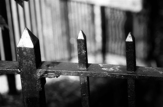DSC_1273
