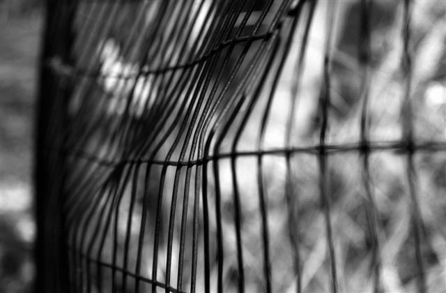 DSC_1356