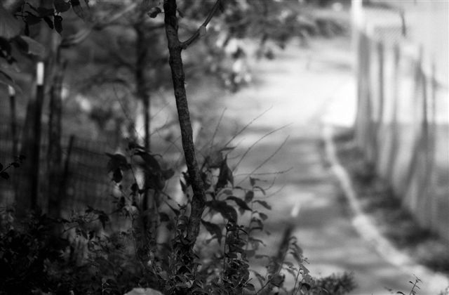 DSC_1368
