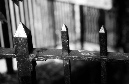 DSC_1273