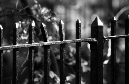 DSC_1288