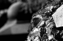 DSC_1298