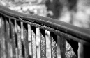 DSC_1312