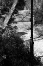 DSC_1347