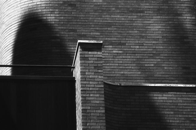 _DSC5877