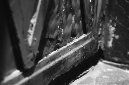 _DSC5821