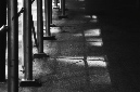 _DSC5824