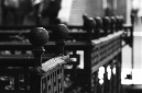 _DSC5916