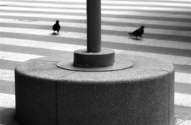 DSC_3557