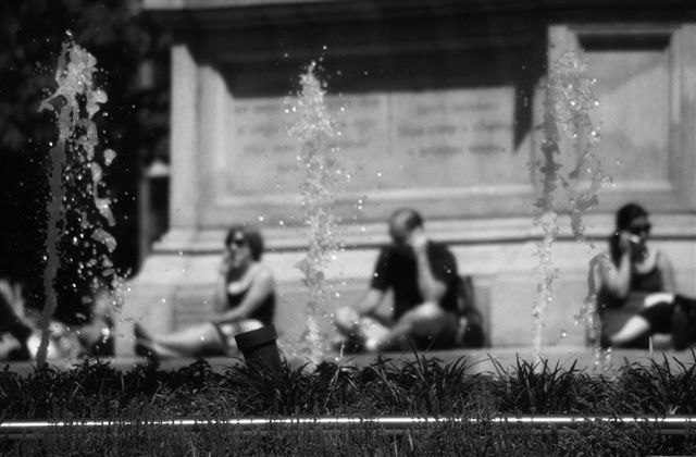 DSC_3630
