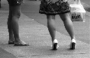 DSC_3647