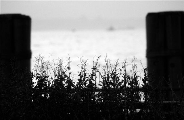 DSC_5192