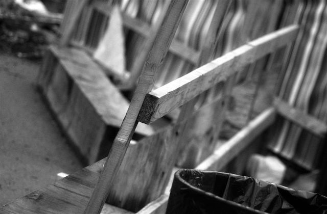 DSC_8550