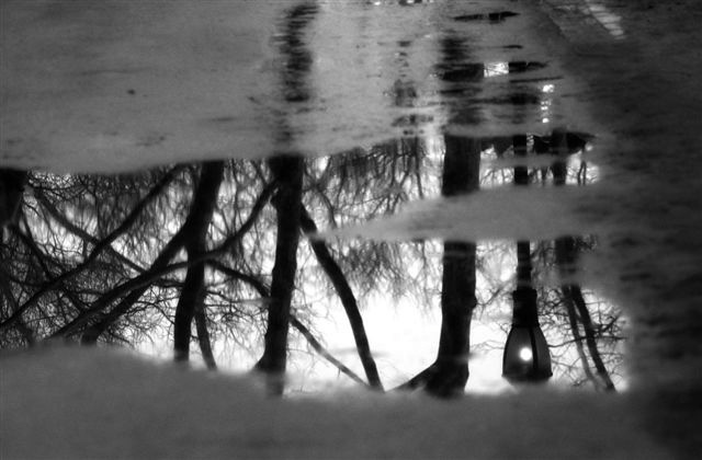 DSC_8557