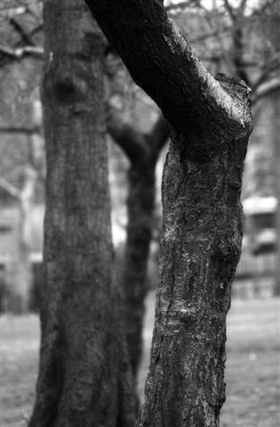DSC_8569