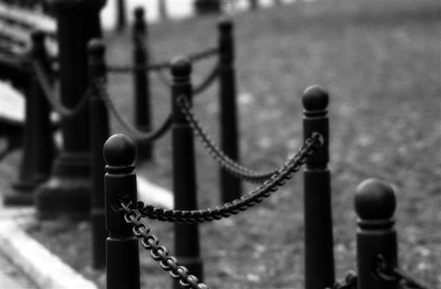 DSC_8577