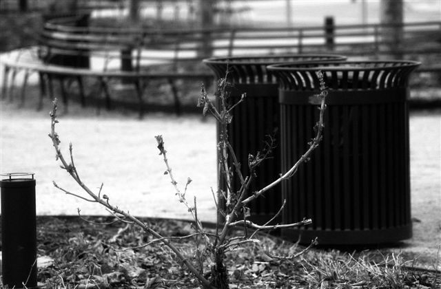 DSC_8588