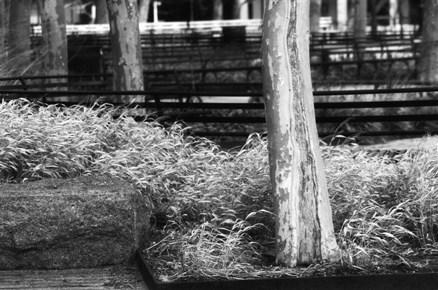 _DSC0024%20(1)