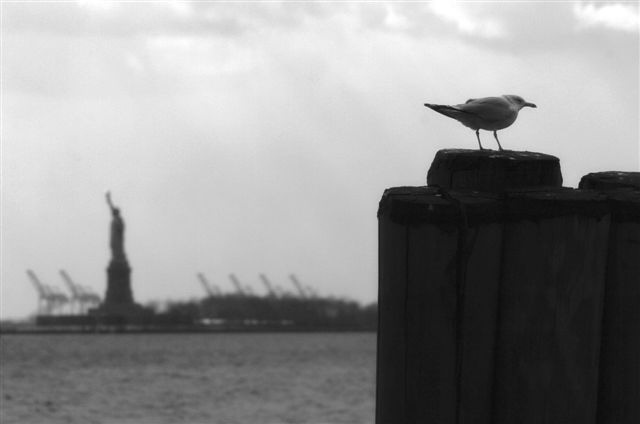 _DSC0027%20(1)