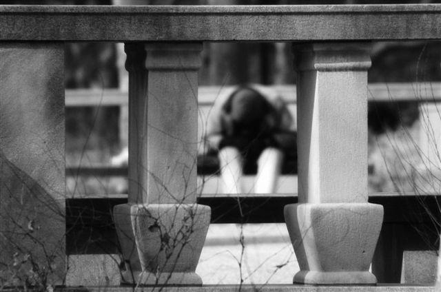 _DSC0048%20(1)