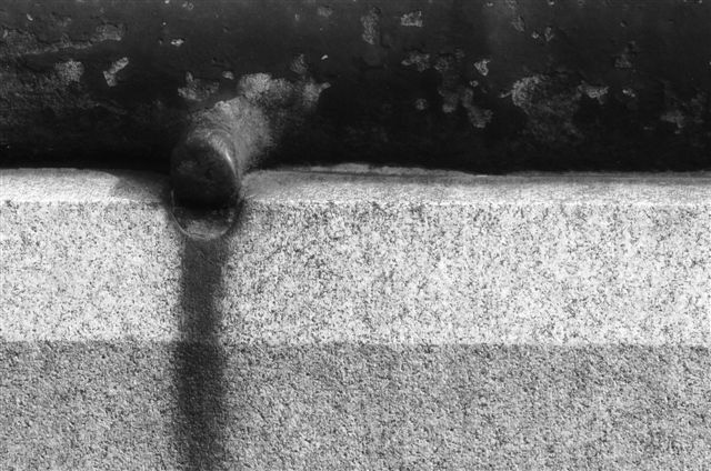 _DSC0064%20(1)