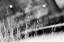 DSC_5153