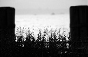 DSC_5192