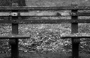 DSC_8549