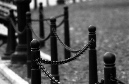 DSC_8577
