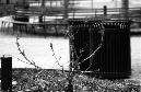 DSC_8588