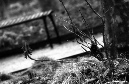 DSC_8612