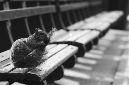 _DSC0003%20(1)