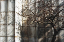 _DSC0006%20(1)