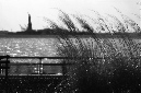 _DSC0017%20(1)