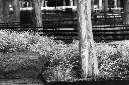 _DSC0024%20(1)