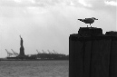 _DSC0027%20(1)