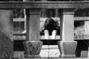 _DSC0048%20(1)