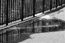 _DSC0062%20(1)
