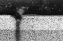 _DSC0064%20(1)
