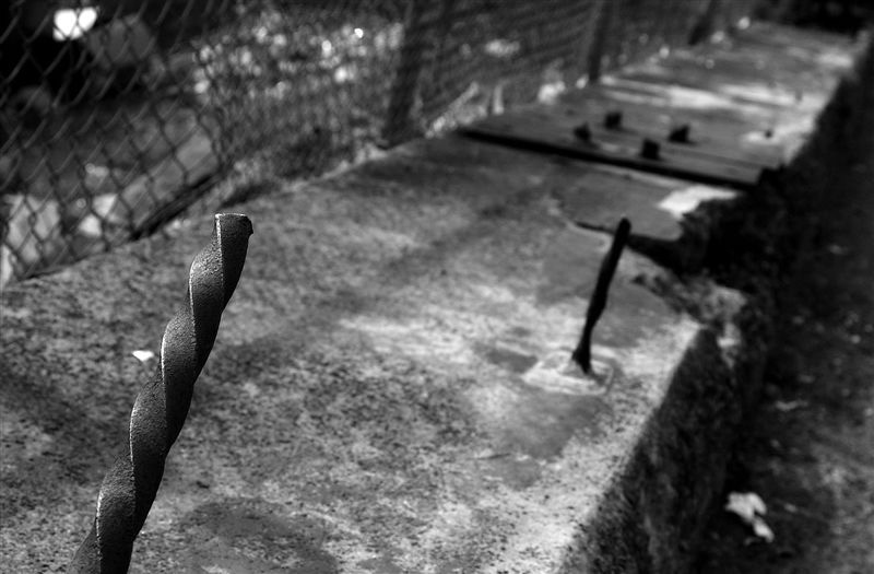 DSC_0605