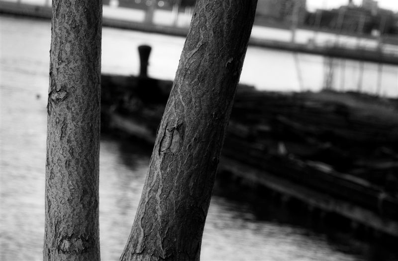 DSC_2798