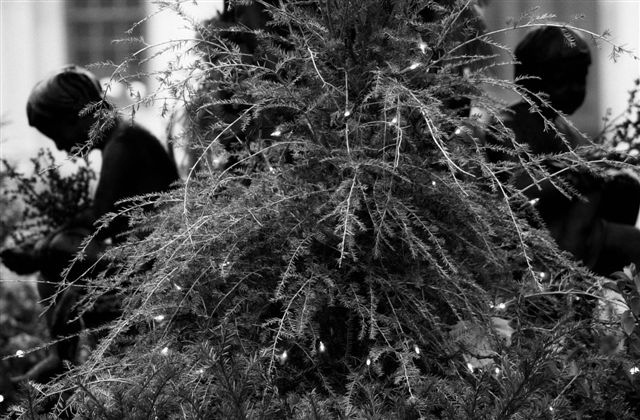 DSC_6728