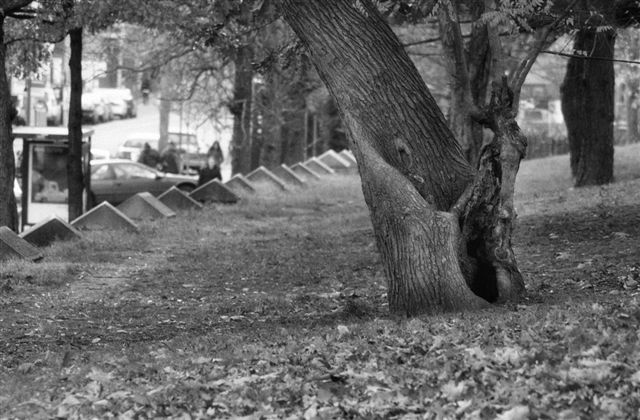 DSC_9372